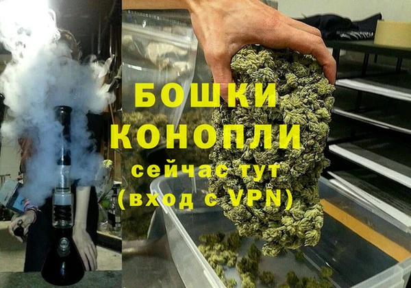 mdpv Белокуриха